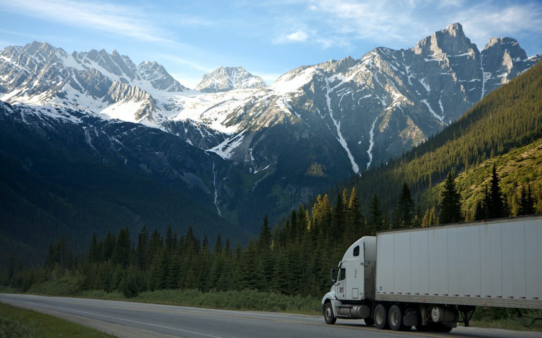 How road freight transportation can save you money